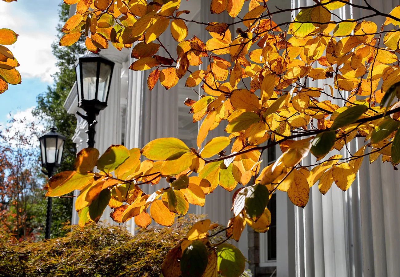 Orange leaves in front of Parrish Hall