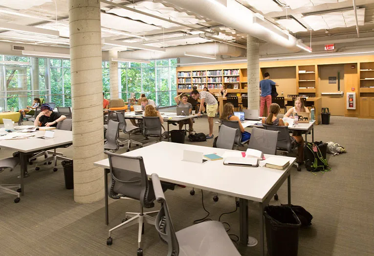 Students working in Cornell Library