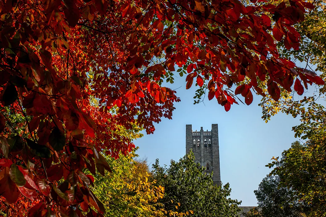Clothier tower framed by leaves in fall