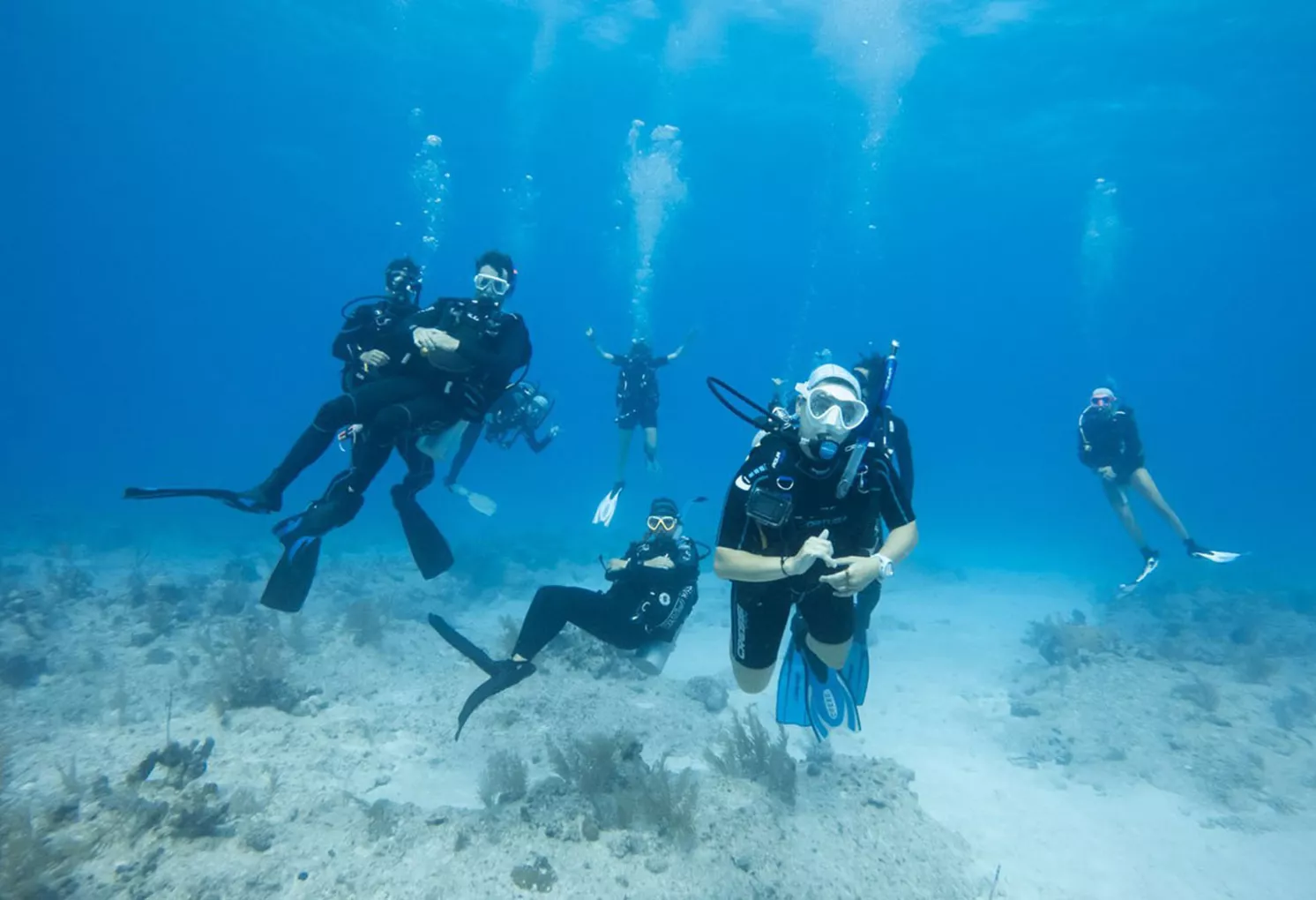 students underwater scuba diving 