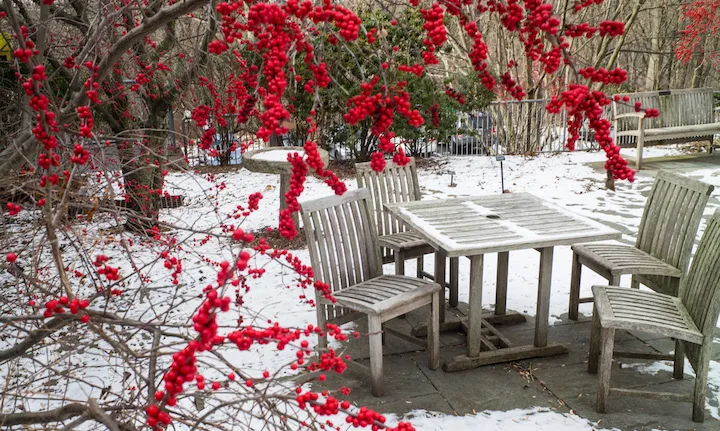 Winter scene on campus