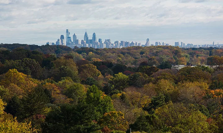 Philadelphia skyline seen above trees in fall